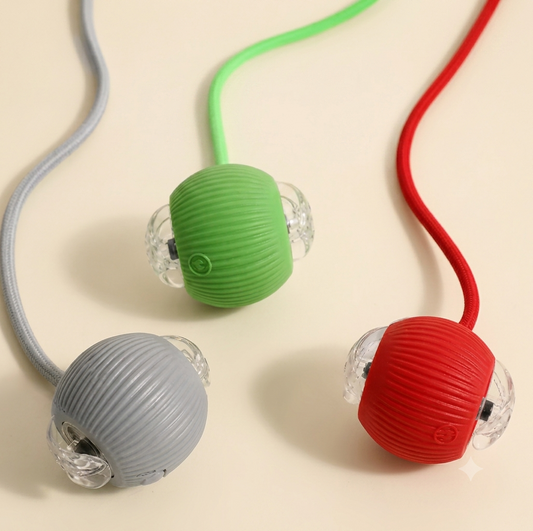 Rechargeable Smart Ball for Dogs