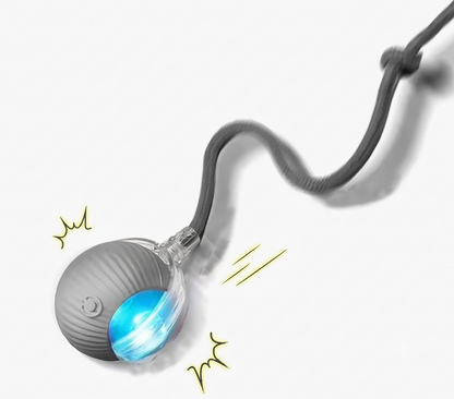 Rechargeable Smart Ball for Dogs